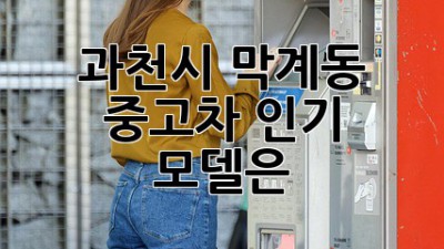 과천시 막계동 중고차 인기 모델은?